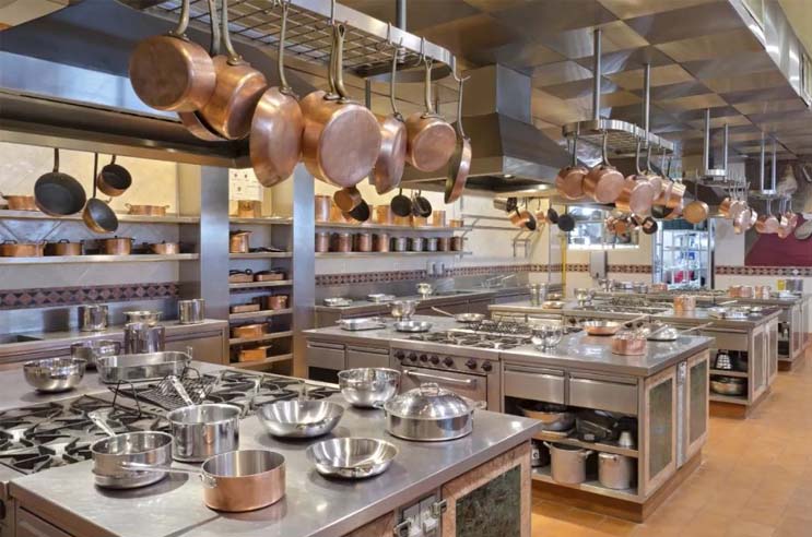 食用菌菌種管理辦法（農業部令第62號）【2014修正版】